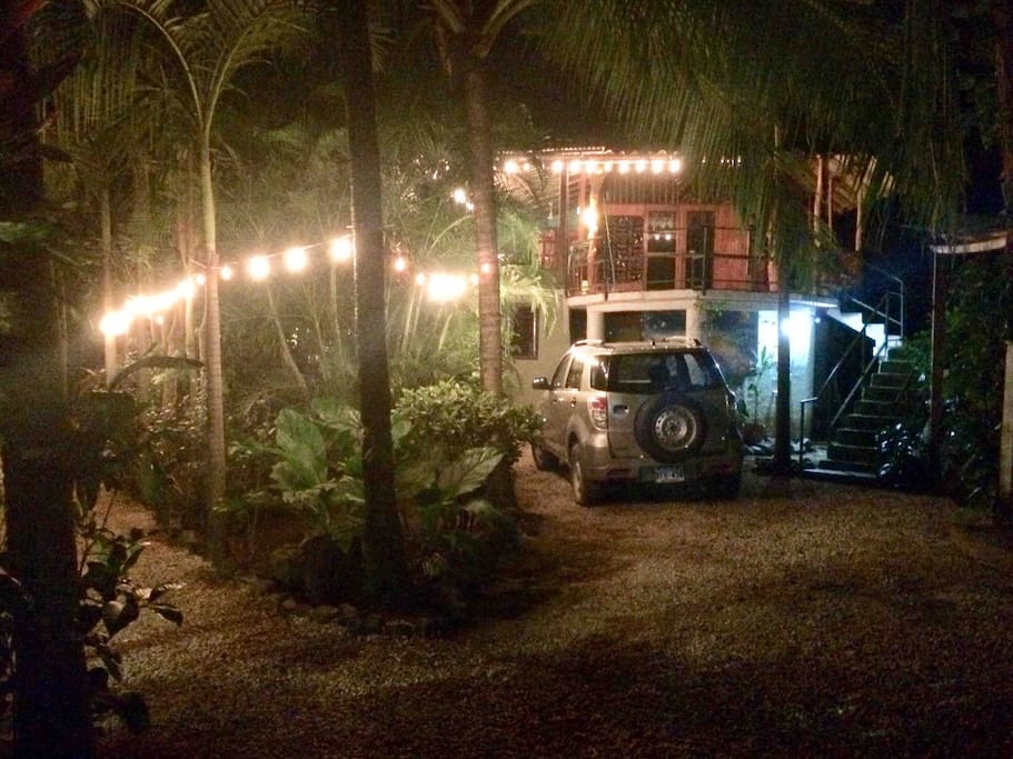 Driveway & entry path through garden at night