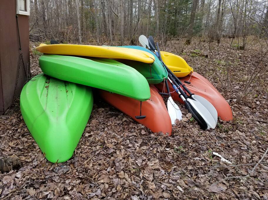 Kayak and life jackets available