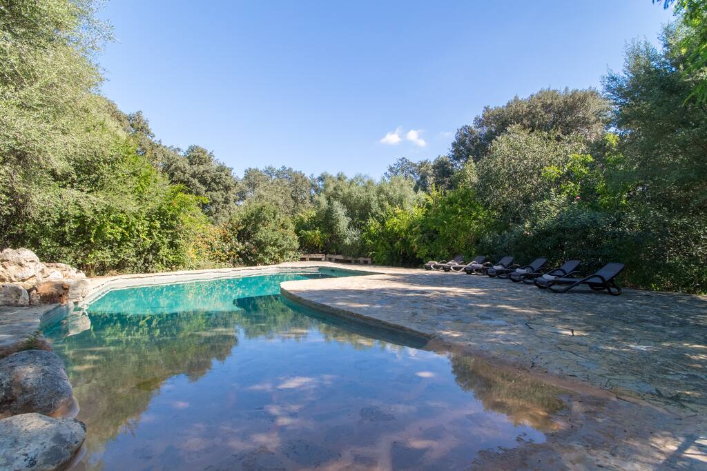 Fenced swimming pool area with sun beds between green garden idyls and birdwatchers.