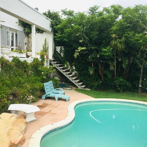 fine view gallery image 2