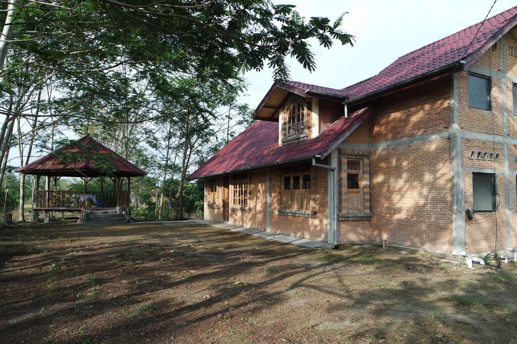 backyard to have family activites