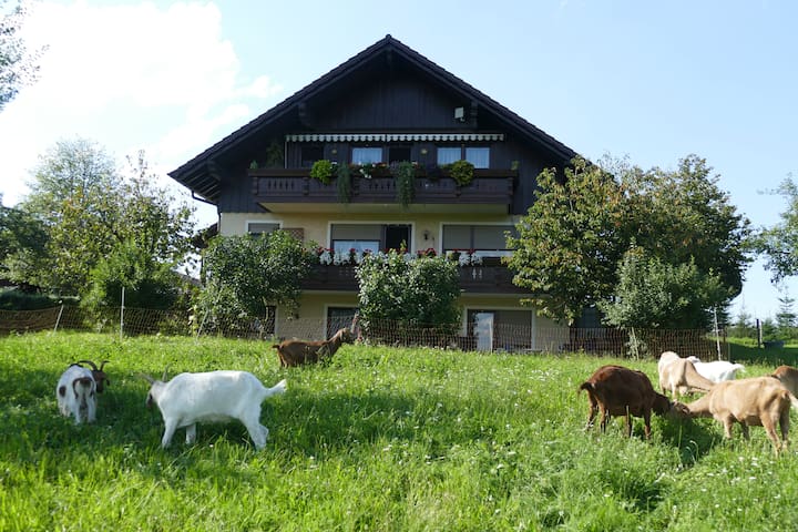 Ferien-/ Monteurwohnung auf dem Bio-Bauernhof