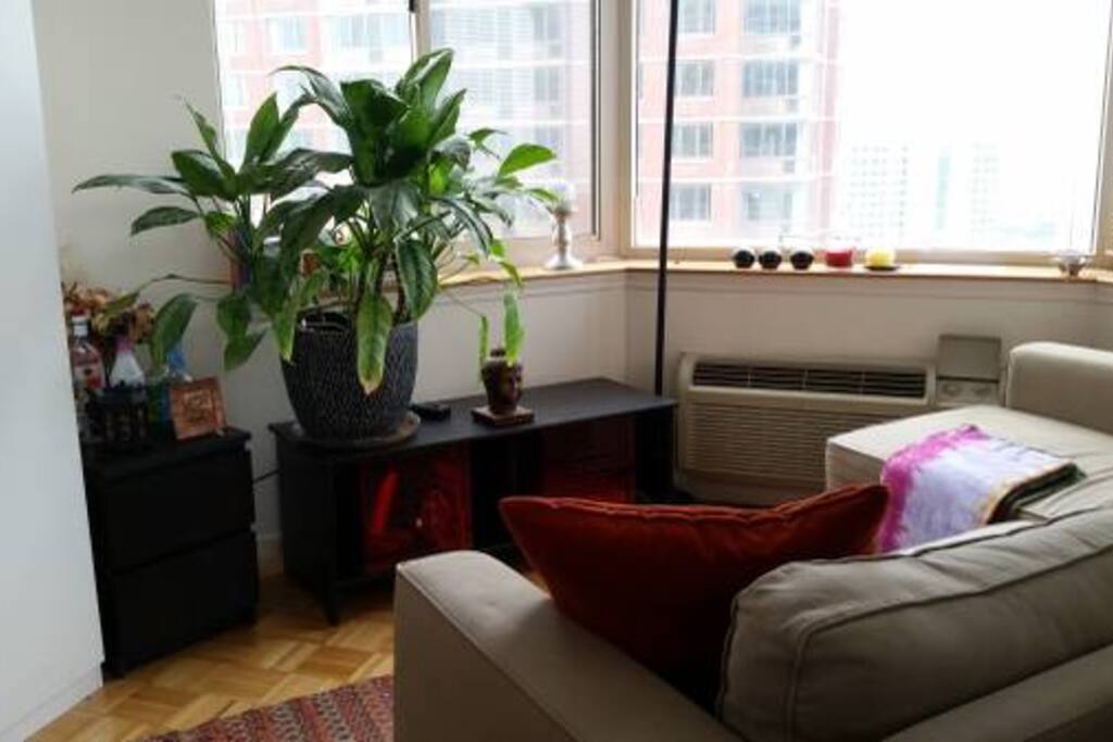 A mini seating area in the room
