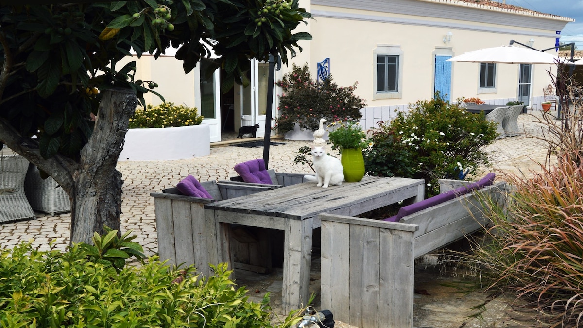 An outdoor seating area features a rustic wooden table with purple cushions and decorative pots. Surrounding greenery adds a natural touch, while a white building with blue window shutters is visible in the background. A friendly cat can be seen nearby.