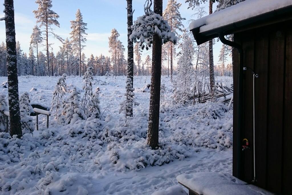 View from the veranda