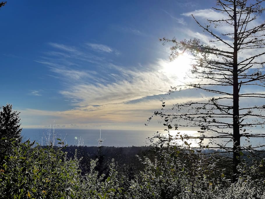 Mesmerizing Views from the patio & the home