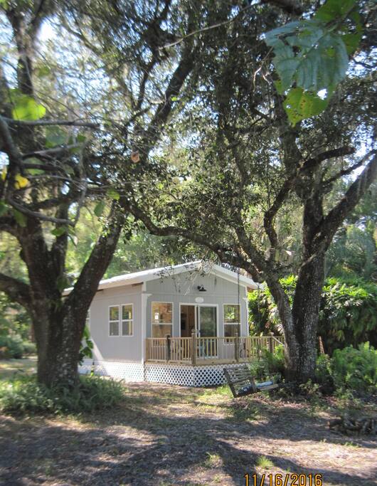It's just one of many live oaks English speaks of with affection