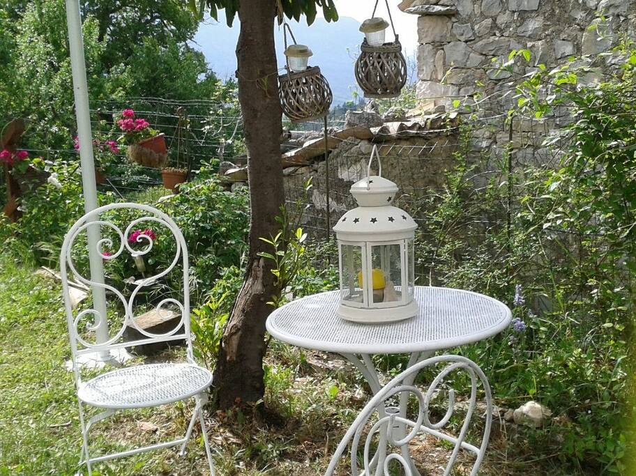 Il giardino degli gnomi