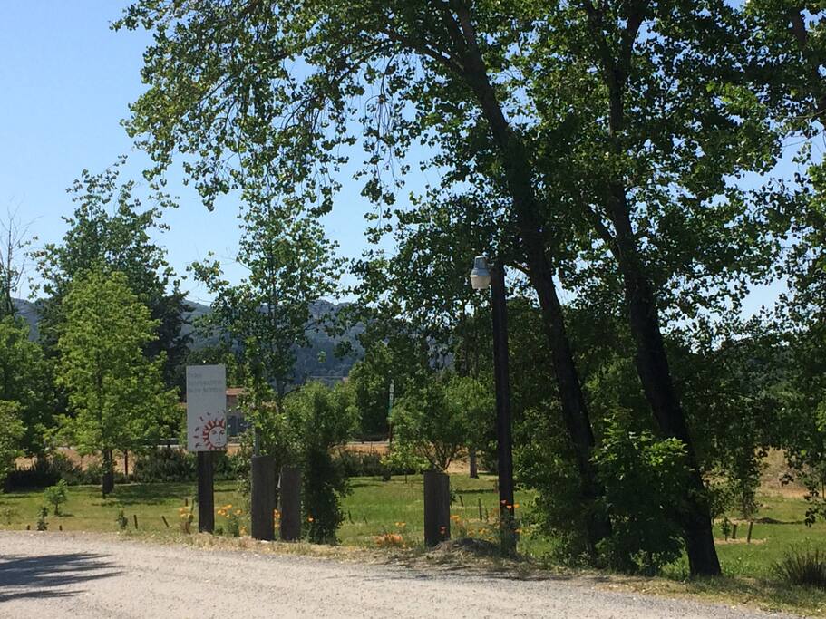 Camping view from entry road
