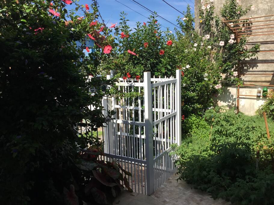 Frente - entrada