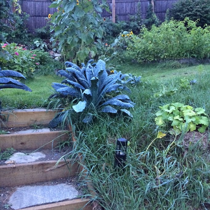 top of steps looking onto the upper garden - August 2016