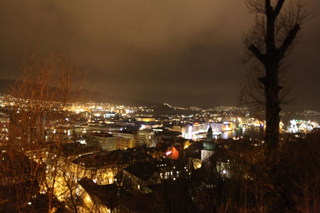 View in the evening. Seen from the road/terrace just outside the apartment.