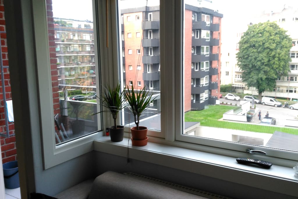 The view, with balcony