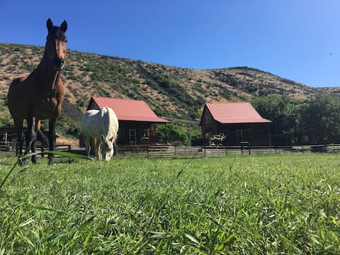 Elderberry Farm Cabins