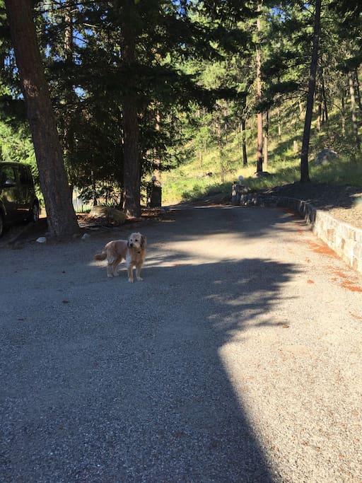 Front driveway. Parking on the left