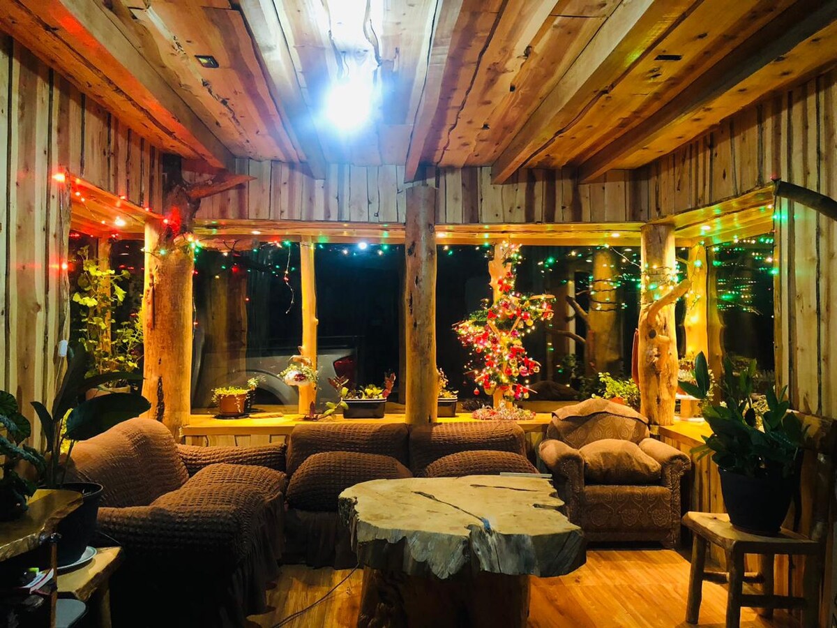 A cozy living area features large windows adorned with colorful lights, creating a warm ambiance. Comfortable seating is arranged around a rustic wooden table, surrounded by potted plants, enhancing the natural tranquility of the space.