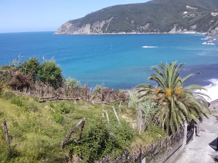 Vista dal balcone