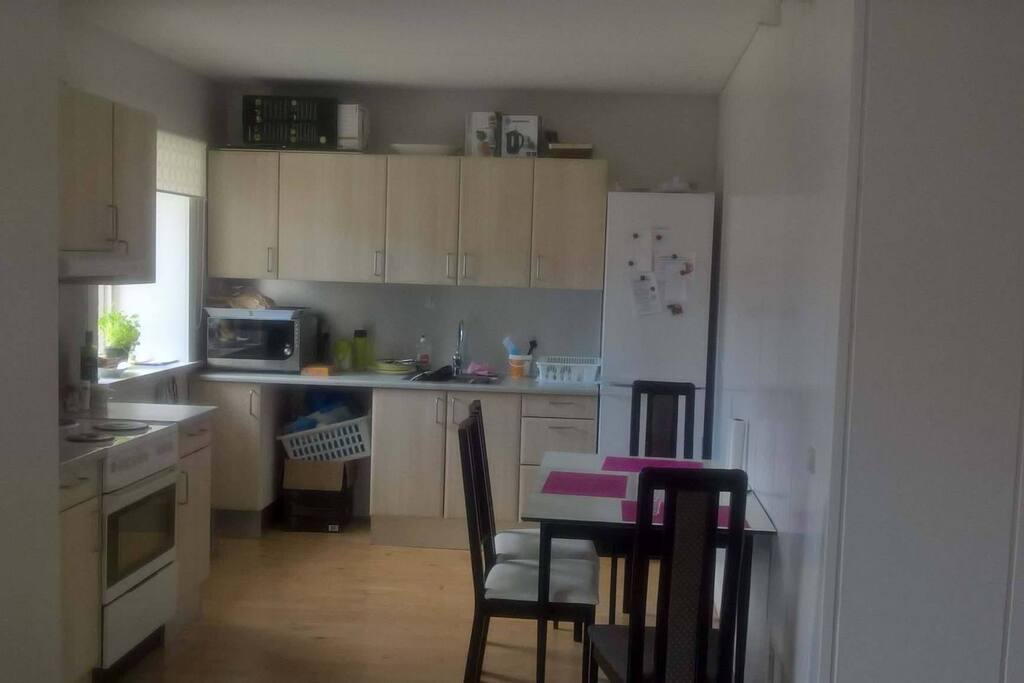 Kitchen with everything that You could need