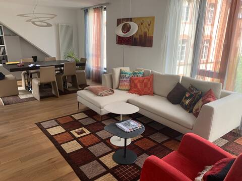 Modern townhouse in the middle of Heidelberg