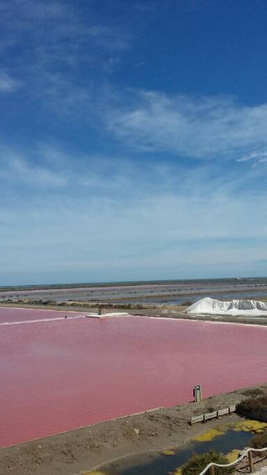 Les Salins