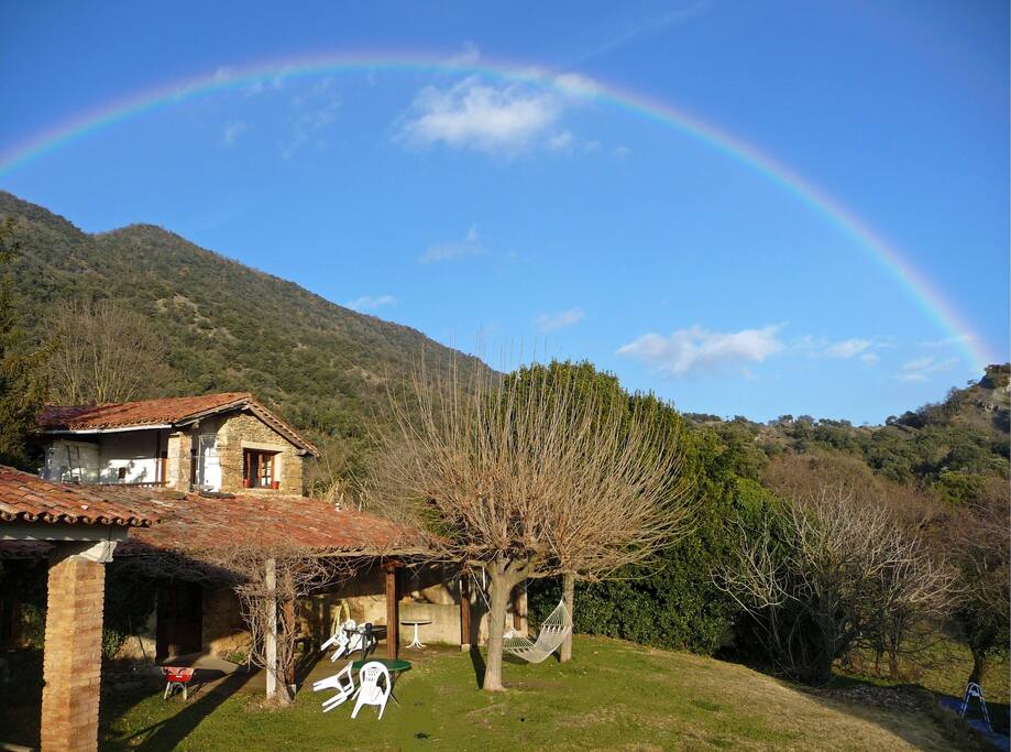 Exterior, jardín