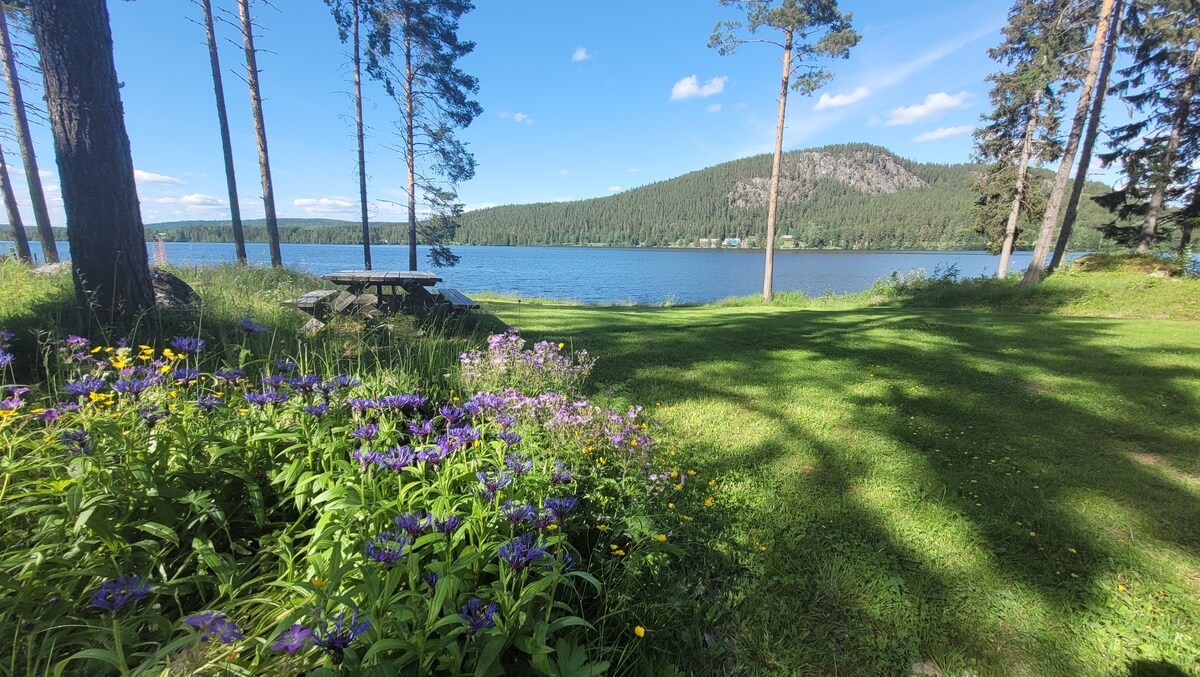 A serene lakeside view is presented, showcasing calm waters reflecting the blue sky and distant hills. Lush greenery and a variety of wildflowers frame the foreground, while tall trees provide natural shade, creating a peaceful atmosphere for relaxation.
