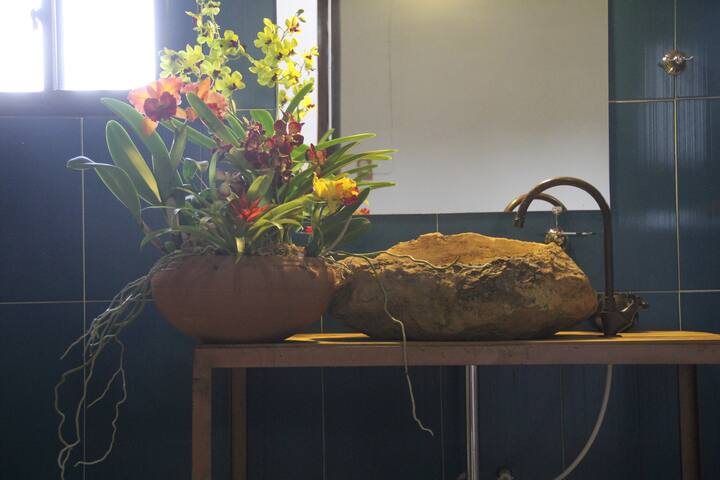 mesa de los santos vacation rentals