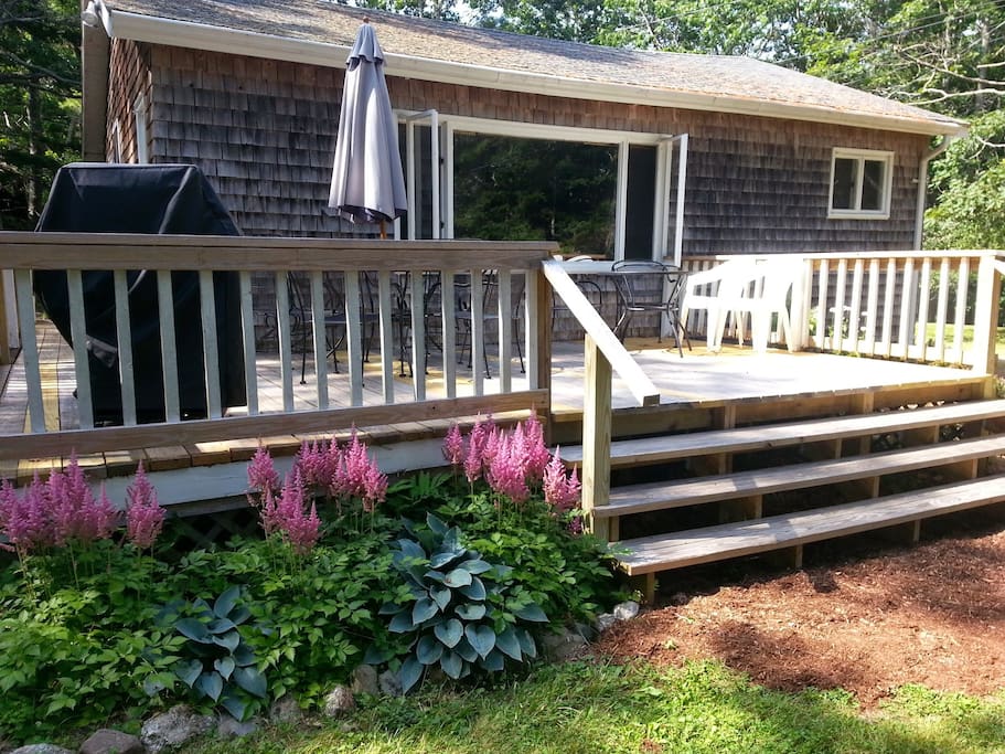 Oceanfront cottage with large south facing front deck with water view