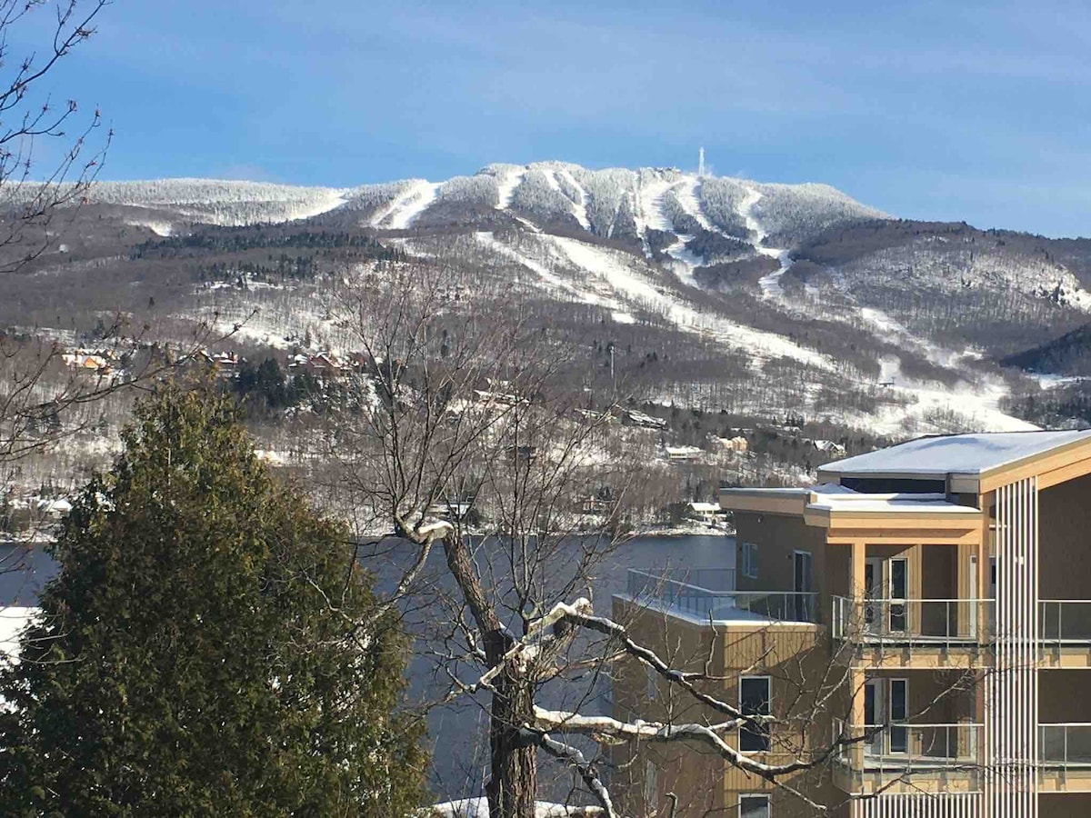 A stunning view showcases snow-covered mountains in the distance, alongside a tranquil lake. The foreground includes a brown tree and a modern building with a balcony, highlighting the natural beauty of the outdoor landscape.