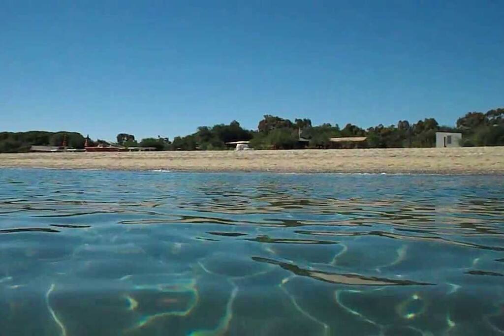 Mare