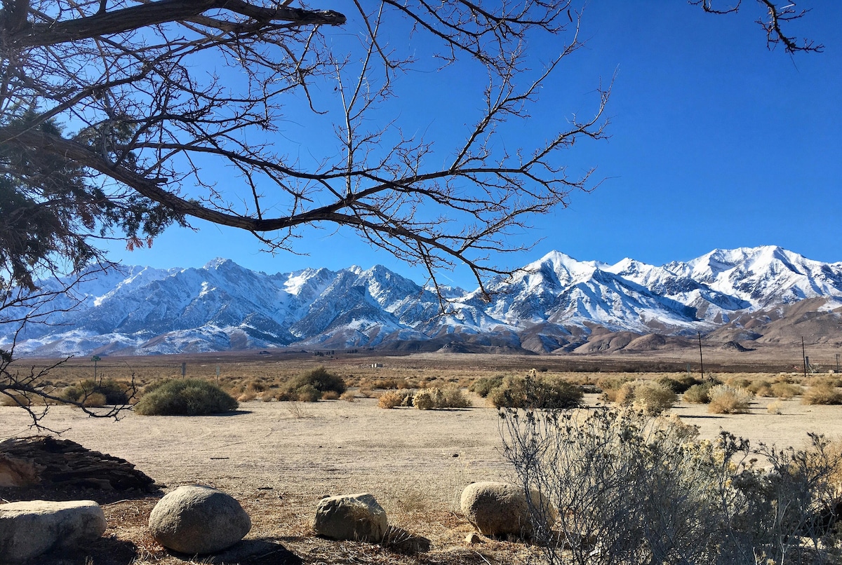 A scenic landscape showcases towering snow-capped mountains under a clear blue sky. Sparse vegetation and a few boulders are visible in the foreground, creating a natural contrast against the rugged mountain backdrop.
