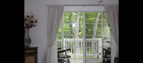 Top performing Airbnb: Happy Place on Rich Mountain in Brevard / Transylvania
