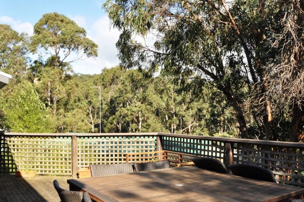 Elevated deck overlooks the Otway National Park