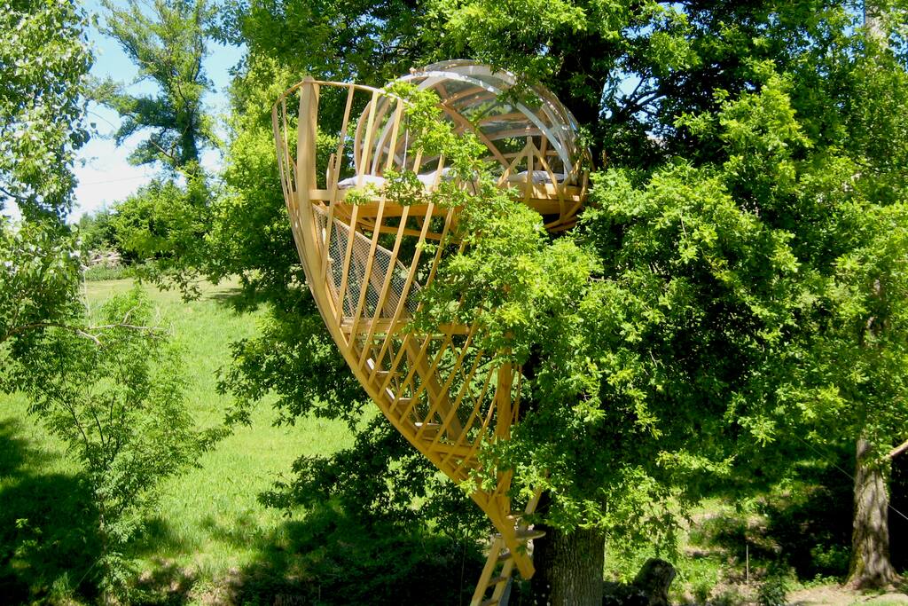 En immersion totale dans l'arbre.