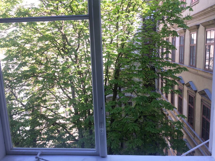 room with a view
