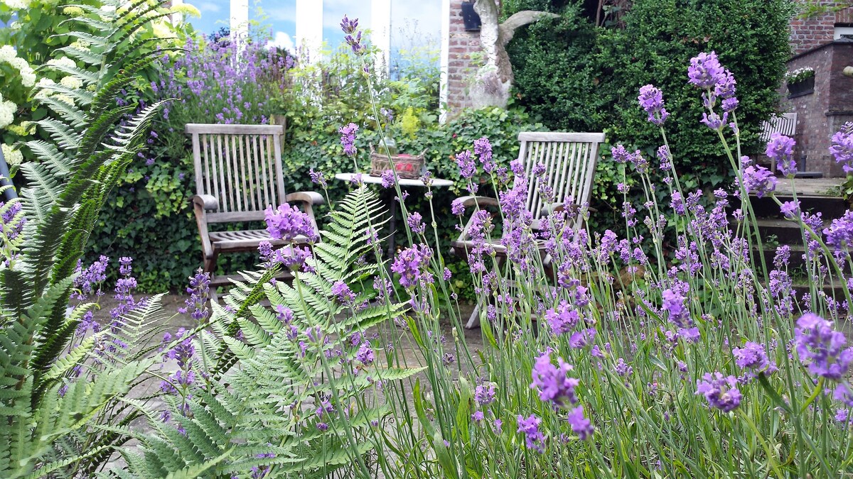 A tranquil outdoor area is surrounded by vibrant purple lavender and lush ferns. Two wooden chairs are positioned near a small table, creating a cozy spot for relaxation amidst the greenery. Soft natural light filters through nearby foliage, enhancing the peaceful ambiance.