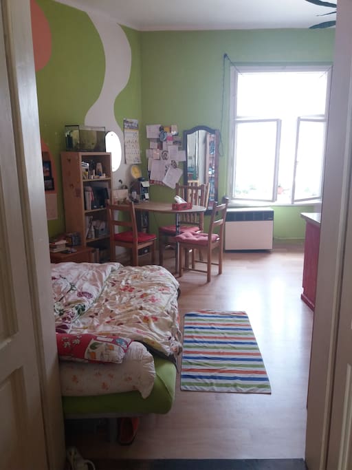 Pokoj s jednou posteli a pracovnim stolem/Room with one bed and a desk