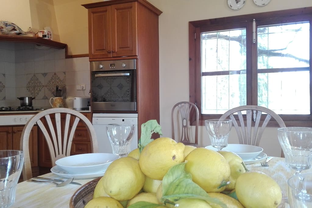 Cocina