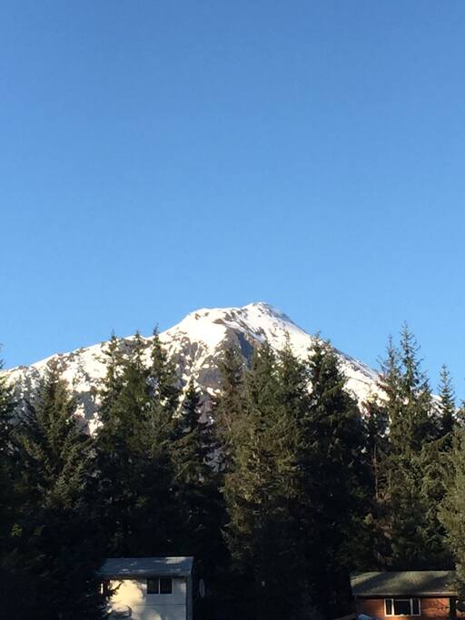 View from the front porch