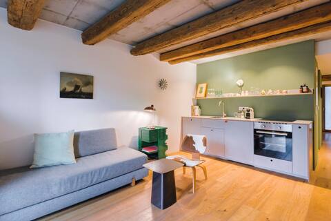 Boutique-Apartment in old barn FRIZ 3