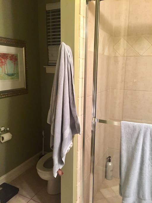 Guest Bath with toilet room