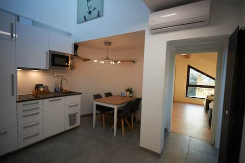 Modern apartment near Frankfurt with 2.5 bedrooms, air conditioning, free rental bikes, parking