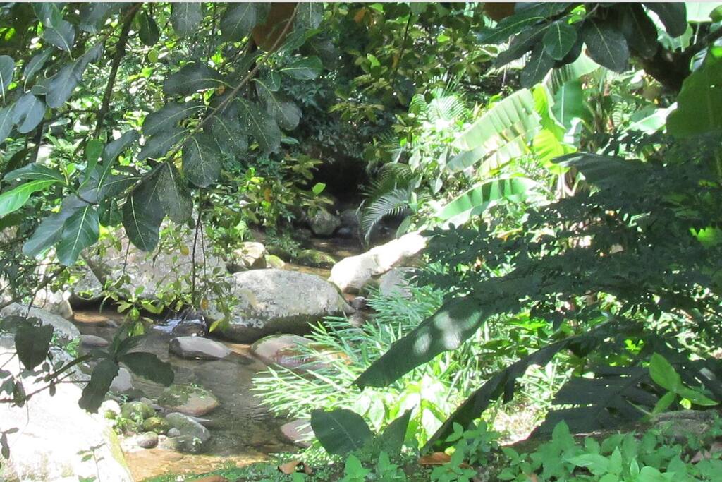 Cachoeira
