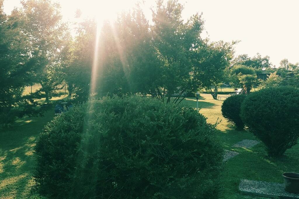 Giardino