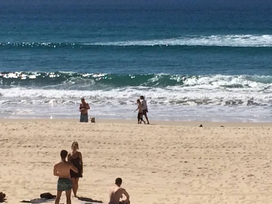 sunbake or swim
