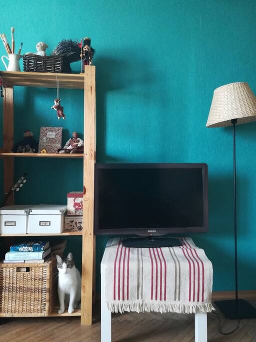 The cat is included :-3