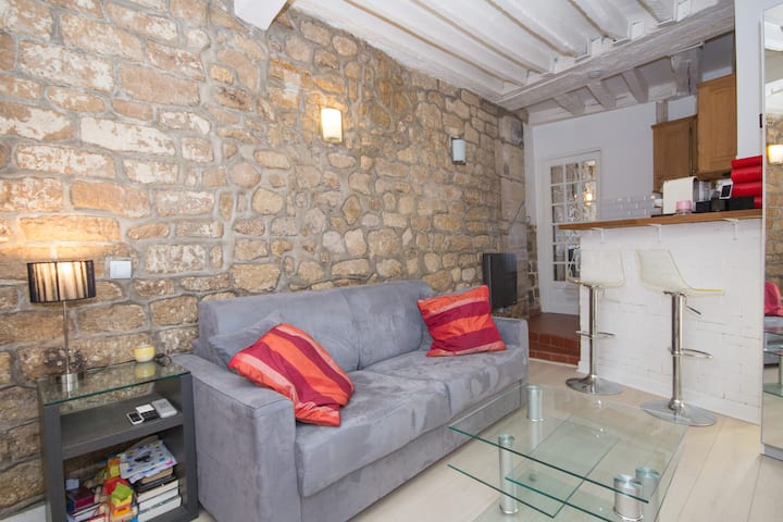 Superb warm studio near Notre Dame