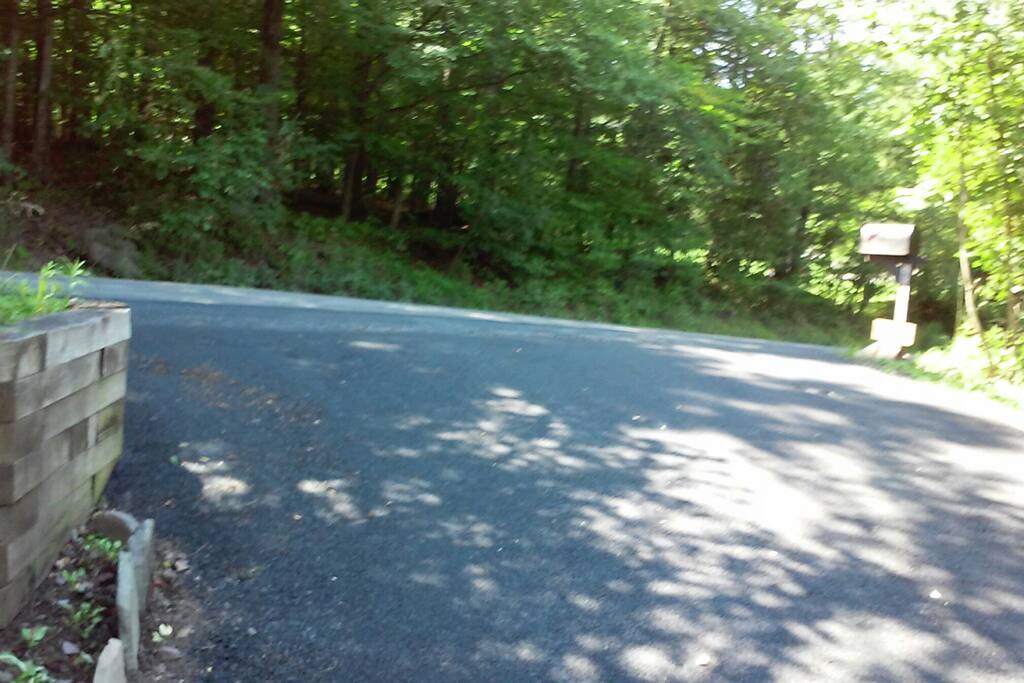 Entrance to off-street parking and view of the forest