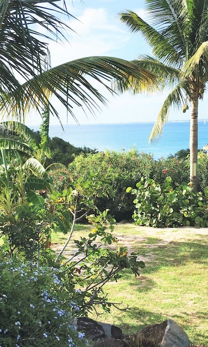 La vue mer depuis la terrasse du studio cocotier