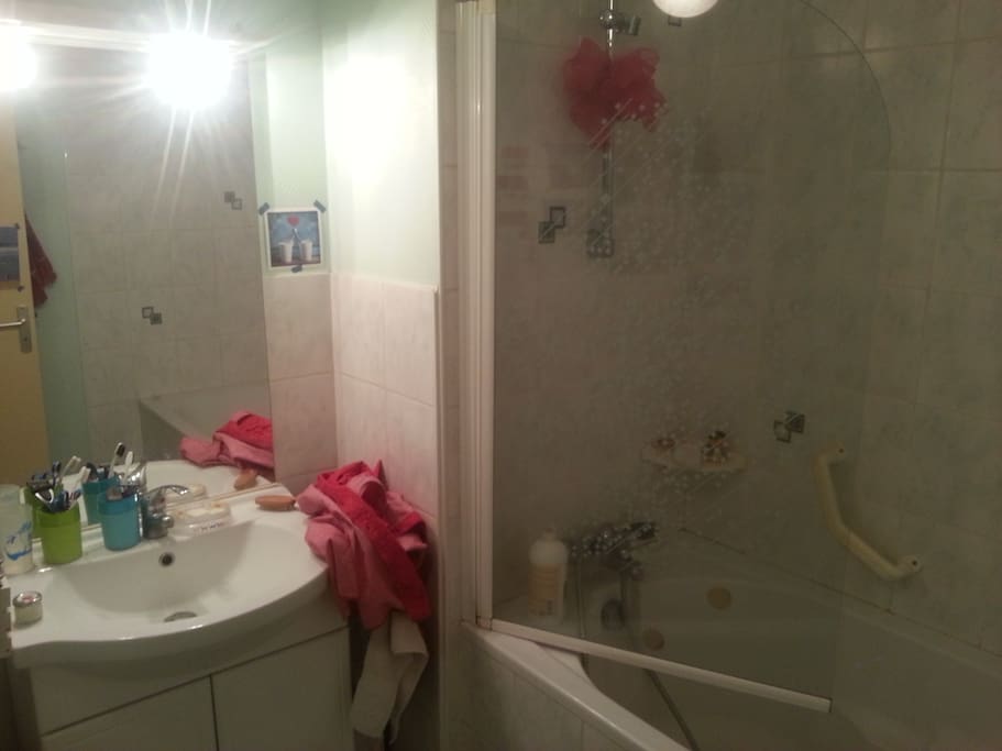 salle de bain. Une douche baignoire